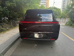Li Auto Ideal L8 2023 Air - ფოტო 10