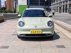 ORA Good Cat 401km Standard Range Deluxe Edition LFP Battery - ფოტო 3