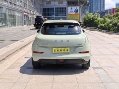 ORA Good Cat 401km Standard Range Deluxe Edition LFP Battery - ფოტო 8