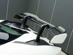 McLaren Senna 2019 4.0T Automatic - ფოტო 7