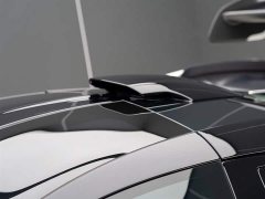 McLaren Senna 2019 4.0T Automatic - ფოტო 8