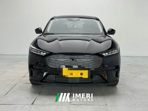 2022 Ford Mustang Mach-E 2021 Standard Range RWD - ავტომობილი ჩინეთიდან