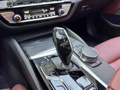 BMW 5 Series 530Li Luxury M Sport Package - ფოტო 15