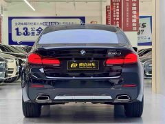 BMW 5 Series 530Li Luxury M Sport Package - ფოტო 4