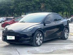 Tesla Model Y Long Range All-Wheel Drive - ფოტო 1