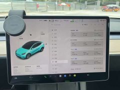 Tesla Model Y Long Range All-Wheel Drive - ფოტო 14