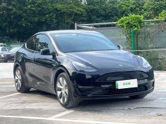 Tesla Model Y Long Range All-Wheel Drive - ფოტო 7