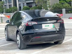 Tesla Model Y Long Range All-Wheel Drive - ფოტო 8