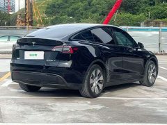 Tesla Model Y Long Range All-Wheel Drive - ფოტო 9