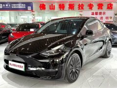 Tesla Model Y Long Range All-Wheel Drive - ფოტო 1