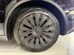 Tesla Model Y Long Range All-Wheel Drive - ფოტო 17