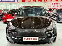 Tesla Model Y Long Range All-Wheel Drive - ფოტო 5