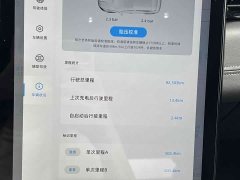 XPeng G3 2020 520i Smart Enjoy Edition - ფოტო 7