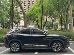 Jetour Jietu Dasheng 1.6T DCT King Plus - ფოტო 4