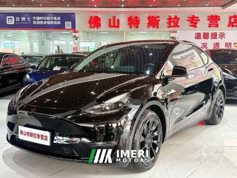 2021 Tesla Model Y Standard Range RWD - ავტომობილი ჩინეთიდან