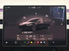 Tesla Model 3 2023 Rear-Wheel Drive - ფოტო 13