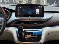 Buick GL8 Land Executive Cabin 652T Luxury - ფოტო 10