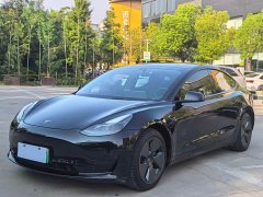Tesla Model 3 Standard Range RWD Upgrade 3D6 - ფოტო 1