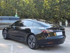 Tesla Model 3 Standard Range RWD Upgrade 3D6 - ფოტო 14