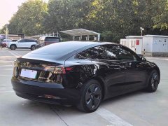 Tesla Model 3 Standard Range RWD Upgrade 3D6 - ფოტო 16