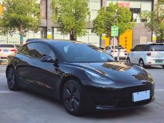 Tesla Model 3 Standard Range RWD Upgrade 3D6 - ფოტო 3