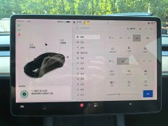 Tesla Model 3 Standard Range RWD Upgrade 3D6 - ფოტო 8