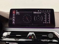 BMW 5 Series 530Li Luxury M Sport Package - ფოტო 13
