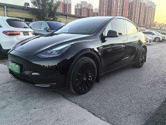 Tesla Model Y Rear-Wheel Drive - ფოტო 1