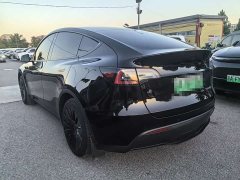 Tesla Model Y Rear-Wheel Drive - ფოტო 4