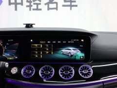 Mercedes-Benz AMG GT 2023 AMG GT 50 Four-Door Sports Car - ფოტო 18