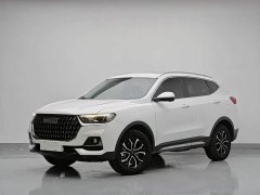 Haval H6 National Trend Edition 1.5T Automatic Urban Version - ფოტო 1