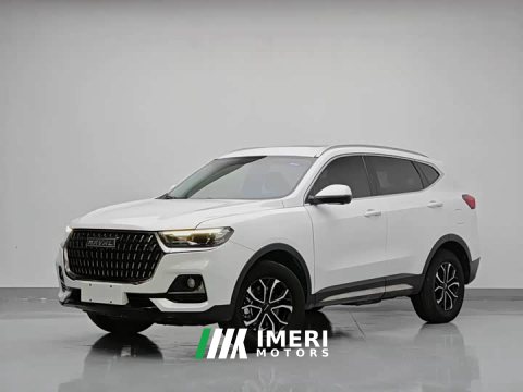 2023 Haval H6 National Trend Edition 1.5T Automatic Urban Version - ავტომობილი ჩინეთიდან