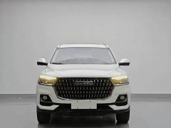 Haval H6 National Trend Edition 1.5T Automatic Urban Version - ფოტო 2