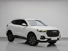 Haval H6 National Trend Edition 1.5T Automatic Urban Version - ფოტო 3