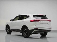 Haval H6 National Trend Edition 1.5T Automatic Urban Version - ფოტო 4