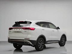 Haval H6 National Trend Edition 1.5T Automatic Urban Version - ფოტო 6