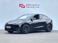 Tesla Model Y Long Range All-Wheel Drive - ფოტო 1