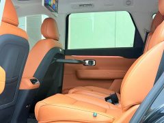 Leapmotor C16 2024 Pure Electric 520 Deluxe Edition - ფოტო 11