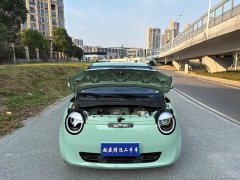Changan Lumin 2022 210km Sweet Edition - ფოტო 19
