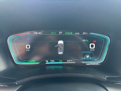 BYD Song Plus New Energy EV Premier - ფოტო 19