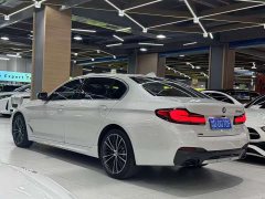 BMW 5 Series 530Li xDrive M Sport Package - ფოტო 6