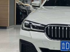BMW 5 Series 530Li xDrive M Sport Package - ფოტო 9