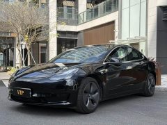 Tesla Model 3 Standard Range RWD Upgrade - ფოტო 1