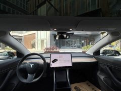 Tesla Model 3 Standard Range RWD Upgrade - ფოტო 10