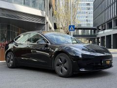Tesla Model 3 Standard Range RWD Upgrade - ფოტო 3