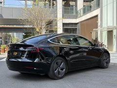 Tesla Model 3 Standard Range RWD Upgrade - ფოტო 4