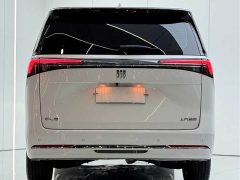 Buick GL8 Land Executive Cabin Advance Edition - ფოტო 15
