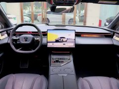 Lotus EMEYA 900 Performance Edition - ფოტო 8