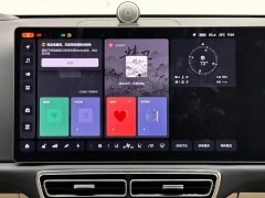 Li Auto L9 Max - ფოტო 13