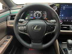 Lexus ES 300h Premium Edition - ფოტო 13